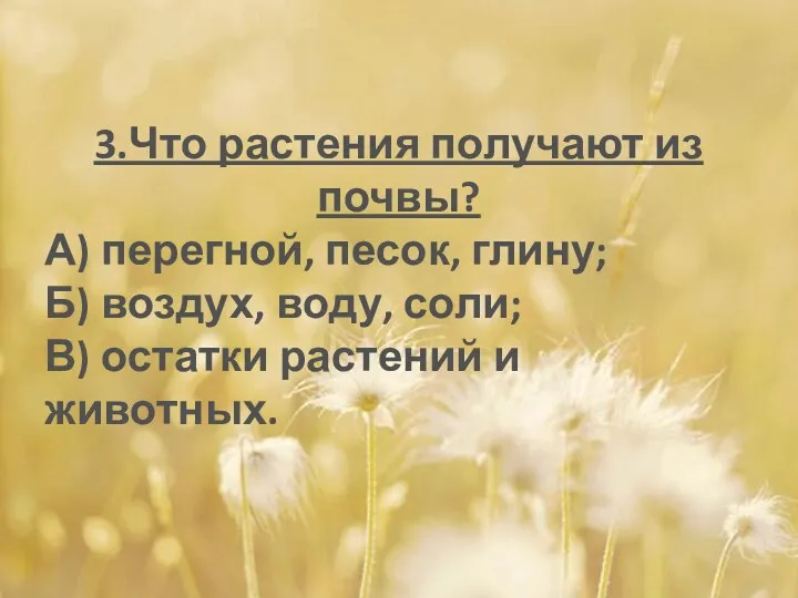 3.Что растения получают из почвы? А) перегной, песок, глину; Б)