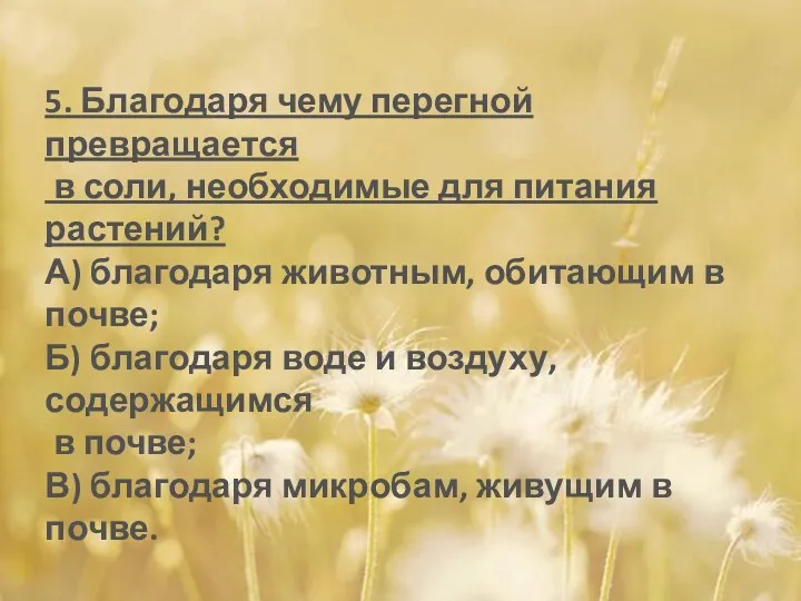 5. Благодаря чему перегной превращается в соли, необходимые для питания