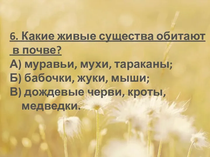 6. Какие живые существа обитают в почве? А) муравьи, мухи,