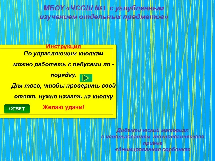 МБОУ «ЧСОШ №1 с углубленным изучением отдельных предметов» Дидактический материал