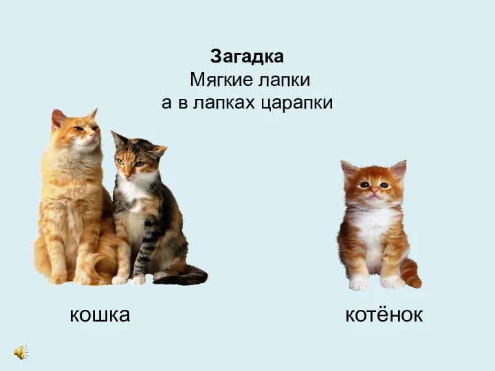 Загадка Мягкие лапки а в лапках царапки кошка котёнок