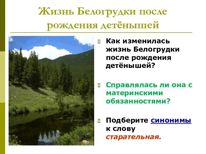 Жизнь Белогрудки после рождения детёнышей Как изменилась жизнь Белогрудки после рождения детёнышей? Справлялась