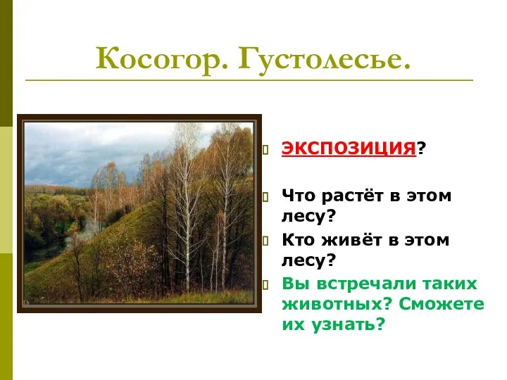 Косогор. Густолесье. ЭКСПОЗИЦИЯ? Что растёт в этом лесу? Кто живёт в этом лесу?