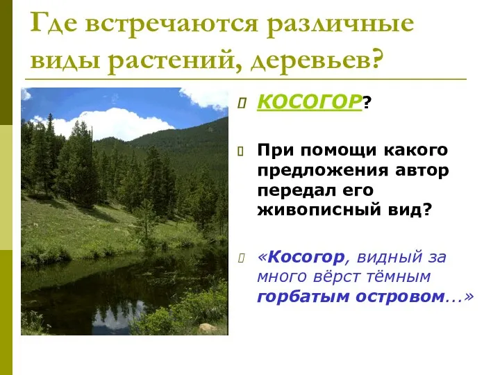 Где встречаются различные виды растений, деревьев? КОСОГОР? При помощи какого