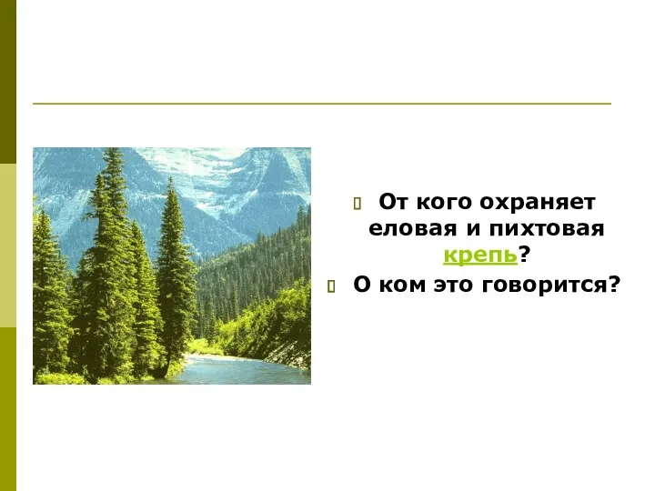 От кого охраняет еловая и пихтовая крепь? О ком это говорится?