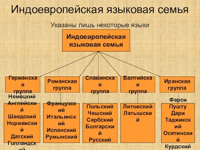 Индоевропейская языковая семья Указаны лишь некоторые языки Индоевропейская языковая семья