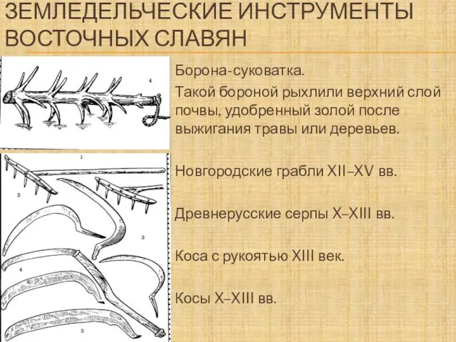 ЗЕМЛЕДЕЛЬЧЕСКИЕ ИНСТРУМЕНТЫ ВОСТОЧНЫХ СЛАВЯН Борона-суковатка. Такой бороной рыхлили верхний слой почвы, удобренный золой