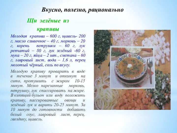 Вкусно, полезно, рационально Щи зелёные из крапивы Молодая крапива –