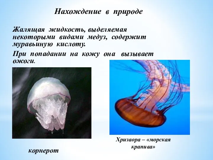 Нахождение в природе Жалящая жидкость, выделяемая некоторыми видами медуз, содержит