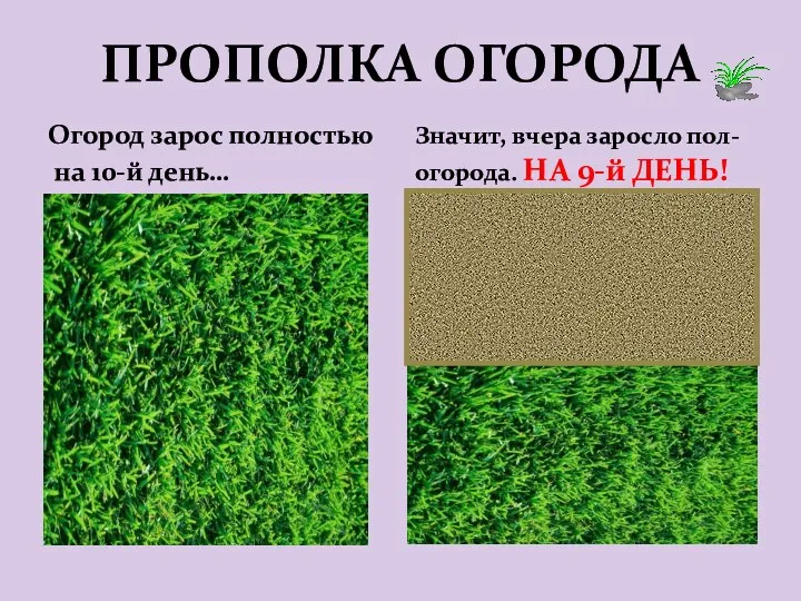 ПРОПОЛКА ОГОРОДА Огород зарос полностью на 10-й день… Значит, вчера заросло пол-огорода. НА 9-й ДЕНЬ!