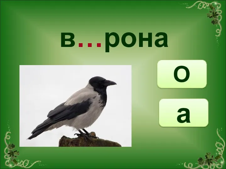 О а в…рона