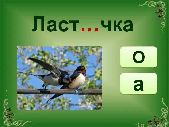 О а Ласт…чка