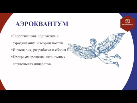 АЭРОКВАНТУМ Теоретическая подготовка в аэродинамике и теории полета Инженерия, разработка