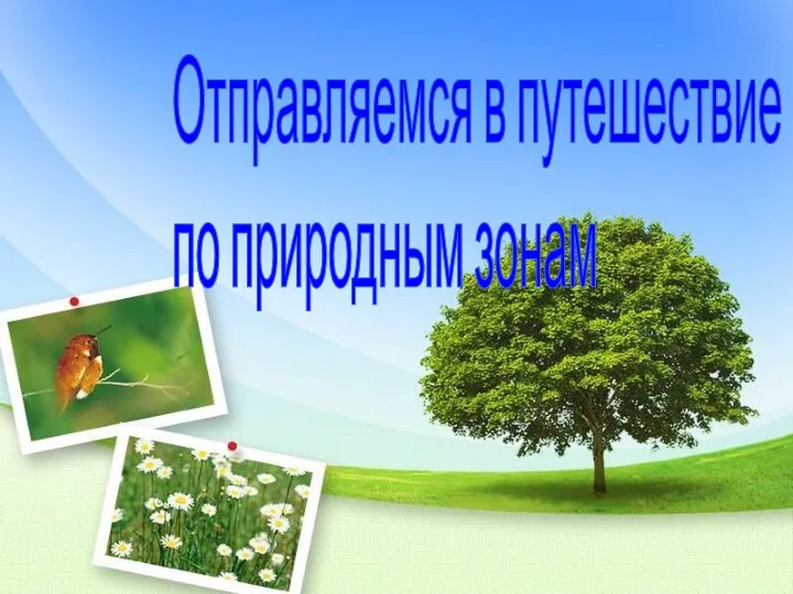 Отправляемся в путешествие по природным зонам