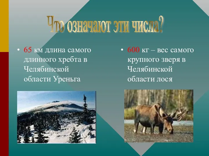 65 км длина самого длинного хребта в Челябинской области Уреньга 600 кг –