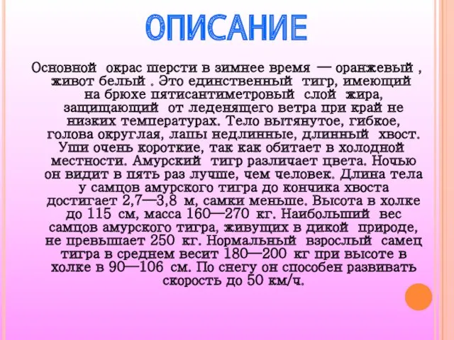 ОПИСАНИЕ Основной окрас шерсти в зимнее время — оранжевый, живот белый. Это единственный