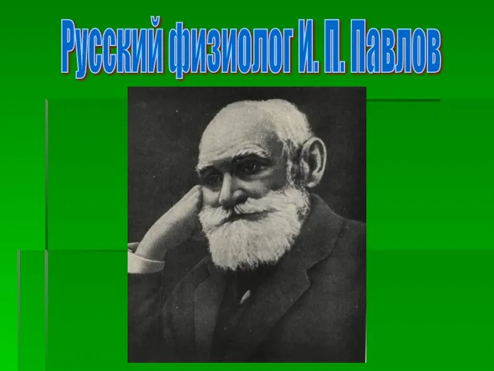 Русский физиолог И. П. Павлов