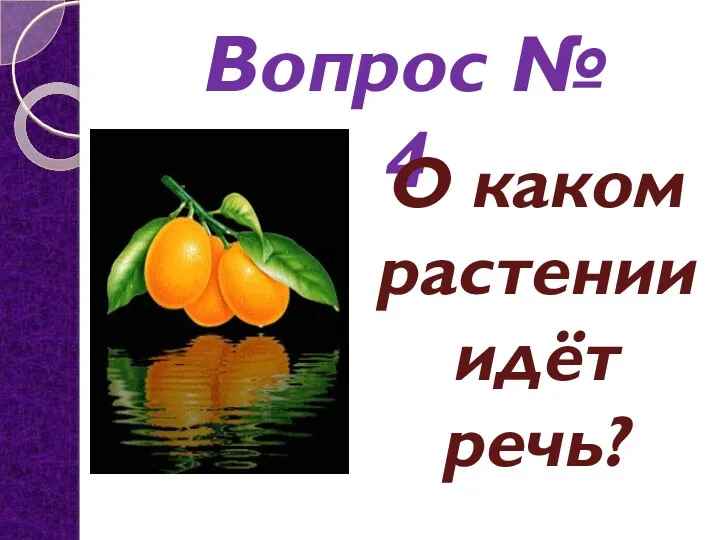 Вопрос № 4 О каком растении идёт речь?