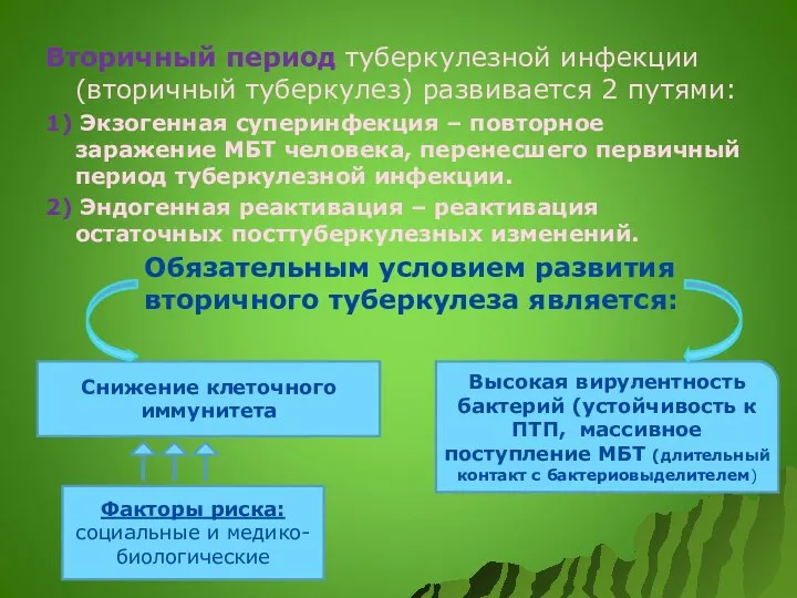 Вторичный период туберкулезной инфекции (вторичный туберкулез) развивается 2 путями: 1)