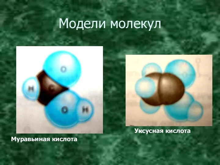 Модели молекул Уксусная кислота Муравьиная кислота