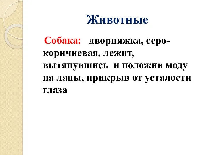 Животные Собака: дворняжка, серо-коричневая, лежит, вытянувшись и положив моду на лапы, прикрыв от усталости глаза