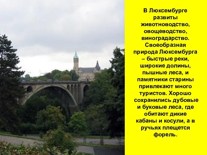 В Люксембурге развиты животноводство, овощеводство, виноградарство. Своеобразная природа Люксембурга –