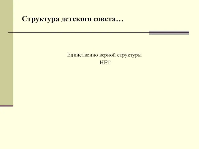 Структура детского совета… Единственно верной структуры НЕТ