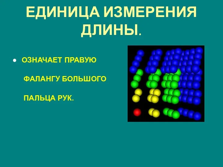 ЕДИНИЦА ИЗМЕРЕНИЯ ДЛИНЫ. ОЗНАЧАЕТ ПРАВУЮ ФАЛАНГУ БОЛЬШОГО ПАЛЬЦА РУК.