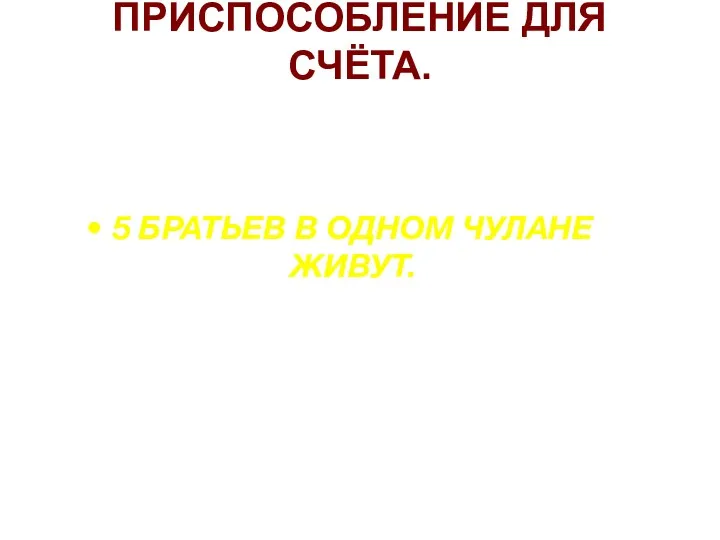 ПРИСПОСОБЛЕНИЕ ДЛЯ СЧЁТА. 5 БРАТЬЕВ В ОДНОМ ЧУЛАНЕ ЖИВУТ.