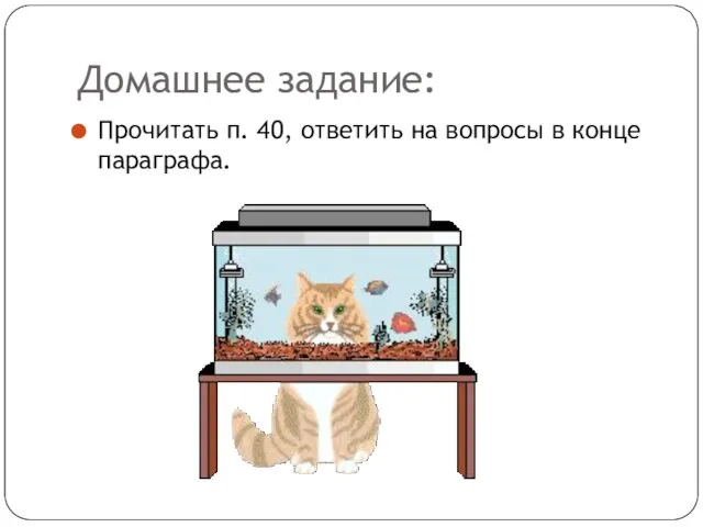 Домашнее задание: Прочитать п. 40, ответить на вопросы в конце параграфа.