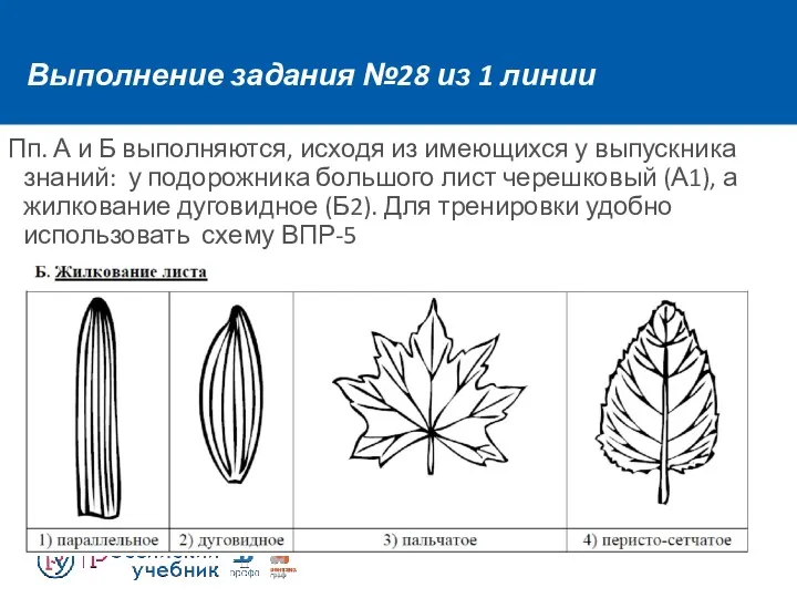 Выполнение задания №28 из 1 линии Пп. А и Б выполняются, исходя из