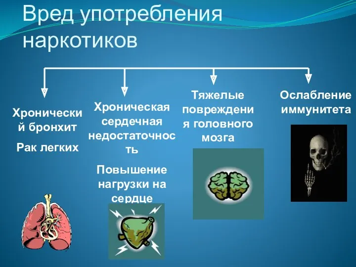 Вред употребления наркотиков Хронический бронхит Рак легких Хроническая сердечная недостаточность