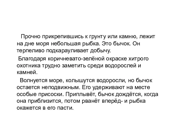 Прочно прикрепившись к грунту или камню, лежит на дне моря