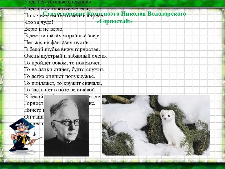 Стихотворение Коми поэта Николая Володарского «Горностай» Вот иду таежною тропинкой,