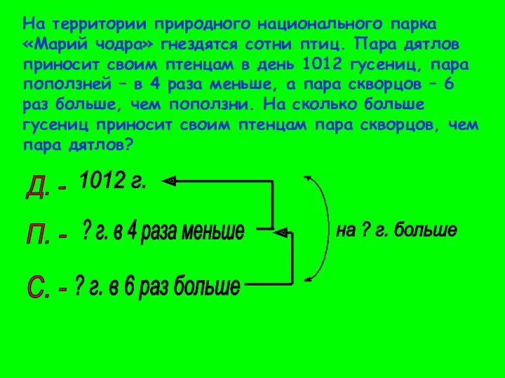 На территории природного национального парка «Марий чодра» гнездятся сотни птиц. Пара дятлов приносит