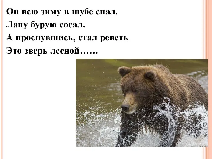 Он всю зиму в шубе спал. Лапу бурую сосал. А проснувшись, стал реветь Это зверь лесной……