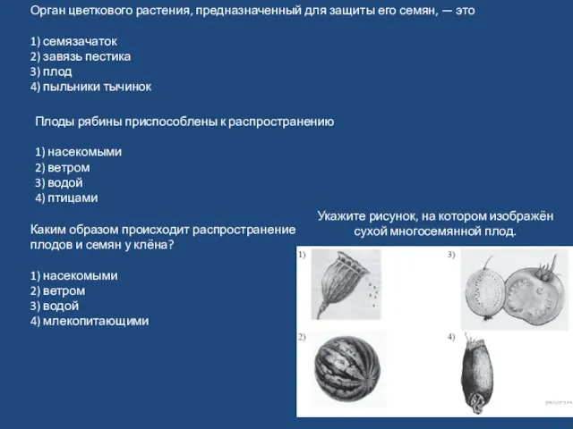 Орган цветкового растения, предназначенный для защиты его семян, — это