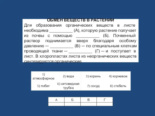 ОБМЕН ВЕЩЕСТВ В РАСТЕНИИ Для образования органических веществ в листе