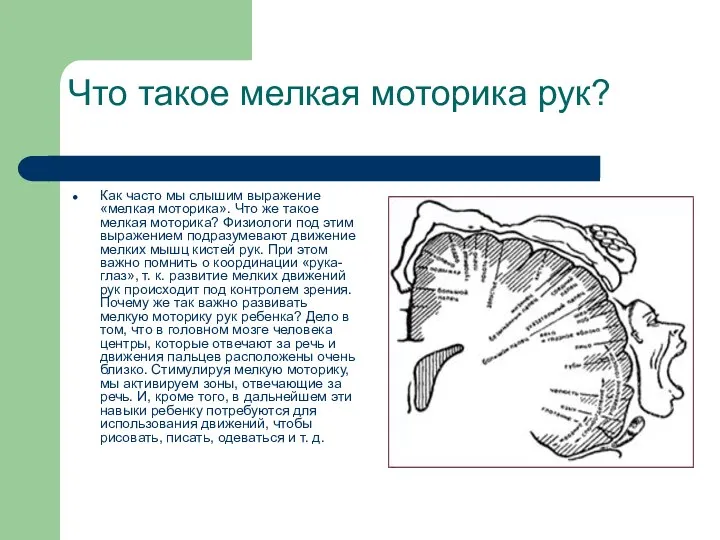 Что такое мелкая моторика рук? Как часто мы слышим выражение «мелкая моторика». Что