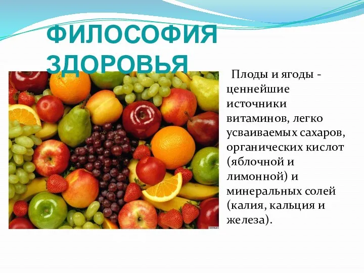 Плоды и ягоды - ценнейшие источники витаминов, легко усваиваемых сахаров, органических кислот (яблочной