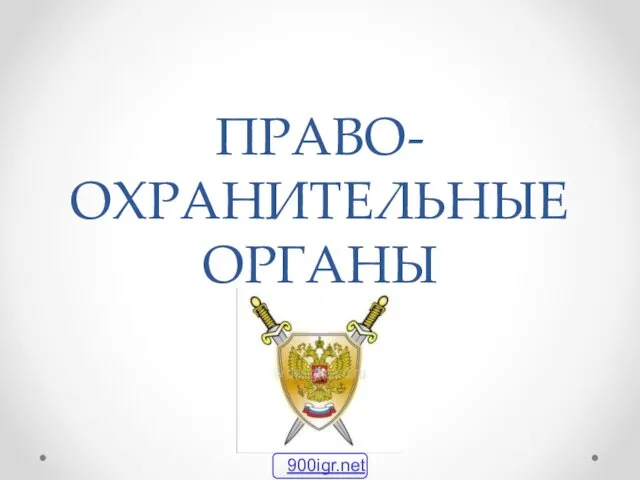 Правоохранительные органы РФ