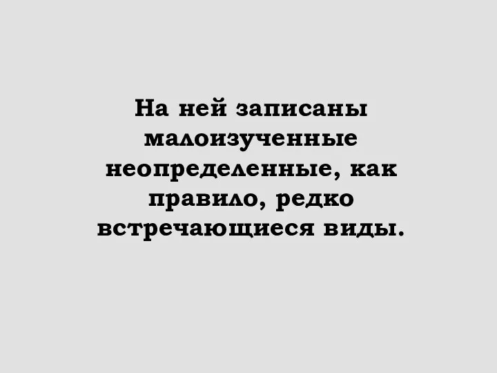 На ней записаны малоизученные неопределенные, как правило, редко встречающиеся виды.