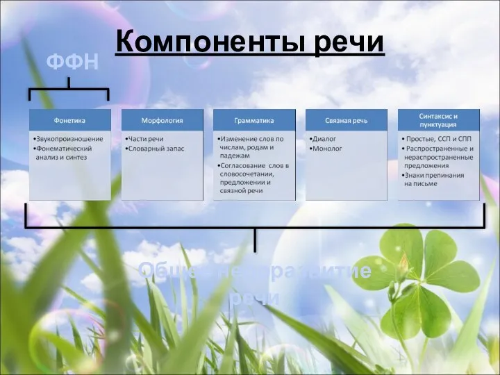 Компоненты речи Общее недоразвитие речи ФФН