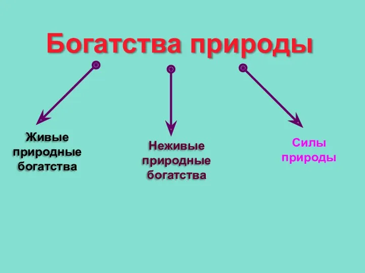 Богатства природы Неживые природные богатства Силы природы Живые природные богатства