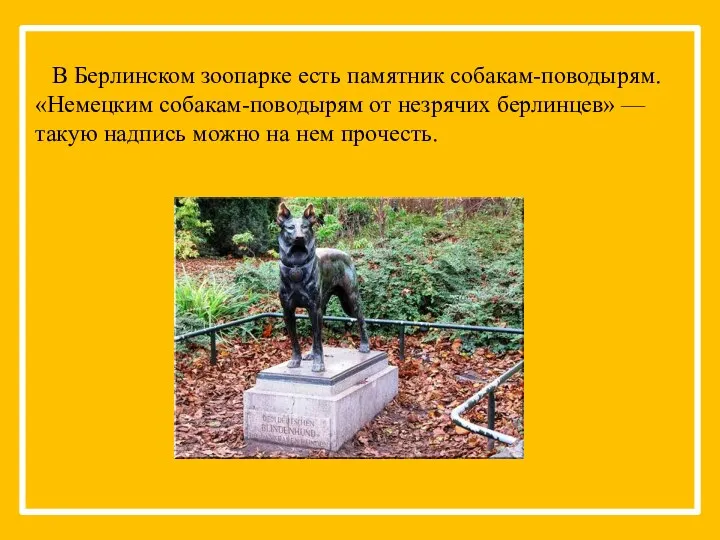 В Берлинском зоопарке есть памятник собакам-поводырям. «Немецким собакам-поводырям от незрячих