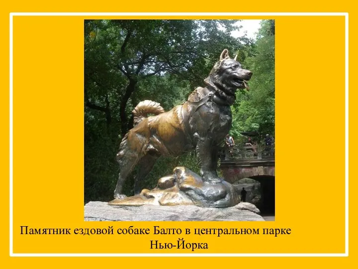 Памятник ездовой собаке Балто в центральном парке Нью-Йорка