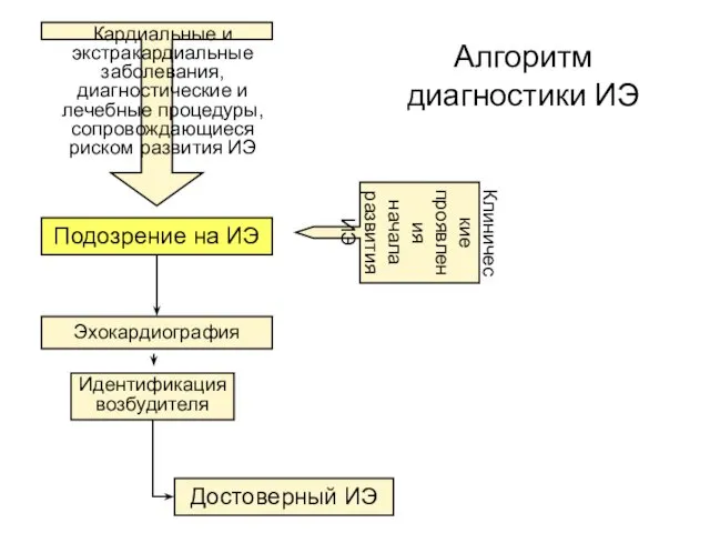 Подозрение на ИЭ Клинические проявления начала развития ИЭ Эхокардиография Идентификация возбудителя Достоверный ИЭ Алгоритм диагностики ИЭ