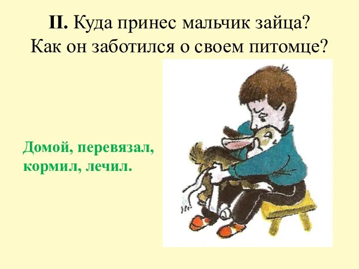 II. Куда принес мальчик зайца? Как он заботился о своем питомце? Домой, перевязал, кормил, лечил.