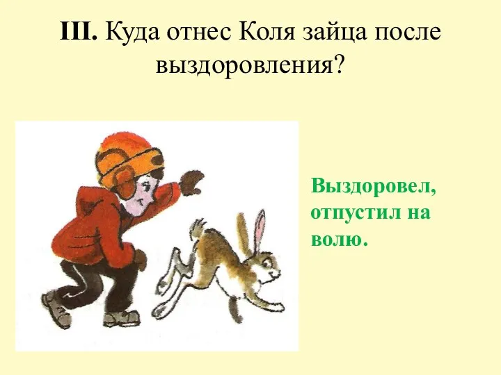 III. Куда отнес Коля зайца после выздоровления? Выздоровел, отпустил на волю.