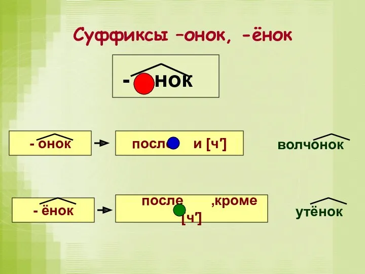 Суффиксы –онок, -ёнок - нок - онок - ёнок после